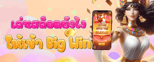 คืนเงินรายสัปดาห์ระดับ VIP promotion